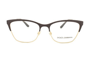 Dolce & Gabbana DG1310 1320